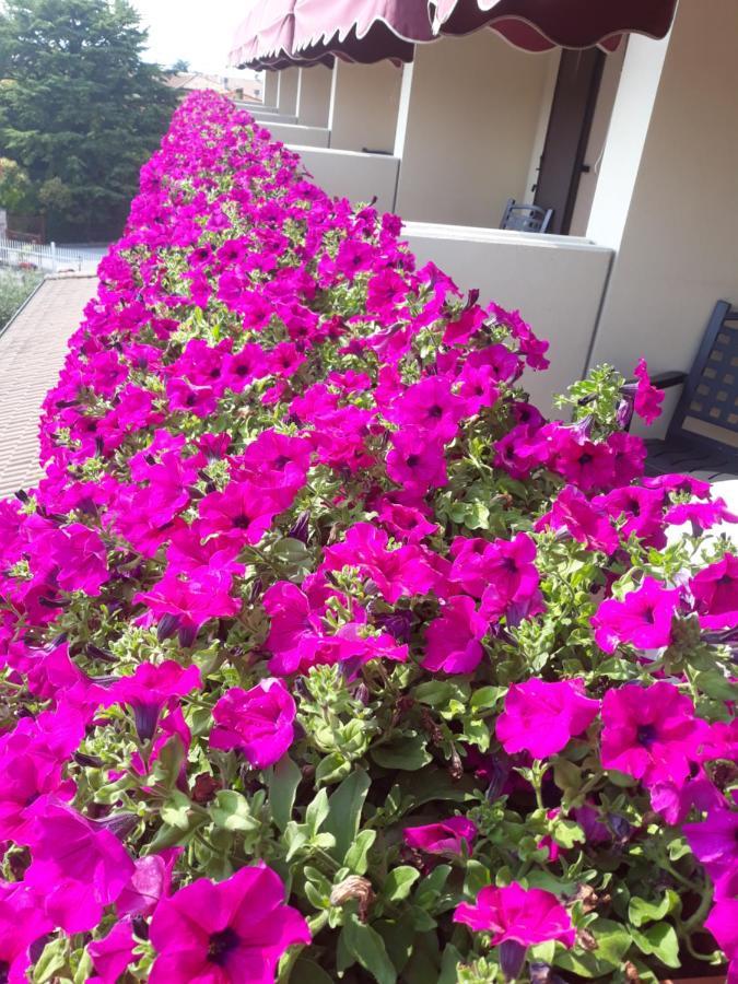 לאזיסה Hotel Da Roberto מראה חיצוני תמונה